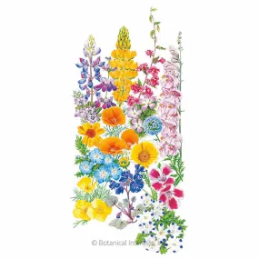 California Color Flower Mix Seeds